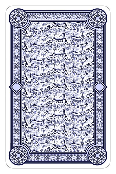 PLAYING CARDS -24 Deck Dinosaur Card Display - FILLED