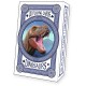PLAYING CARDS -24 Deck Dinosaur Card Display - FILLED