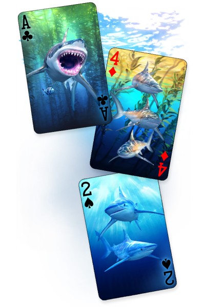 PLAYING CARDS -24 Deck Shark Card Display - FILLED